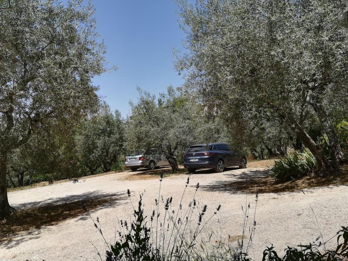 Casa Vacanze "Alcentro" أسيسي المظهر الخارجي الصورة